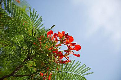 V社：新Steam Deck未来几年内不会推出 现在不用担心背刺